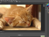 Adobe Photoshop CS6 官方原版+破解补丁