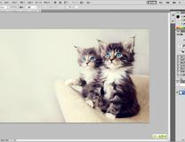 Adobe Photoshop CS5 官方原版+破解补丁