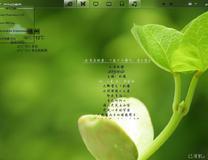 tlb与rm打造的 绿色简洁桌面 请高手指点指点