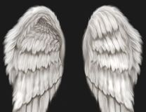 天使之羽 PSD