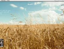 【2010—2011跨年桌面秀】 第一名 -------liqiubo12345