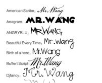 【Mr.Wang】字体·英文·手写【1】