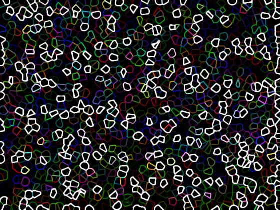 未标题-1.gif