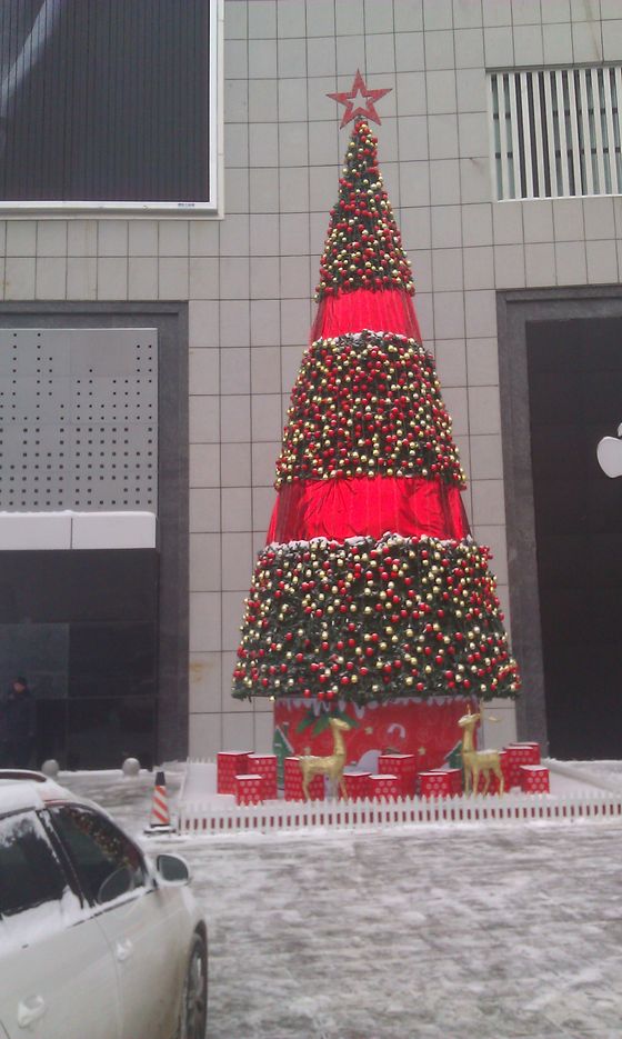 IMAG0465.jpg